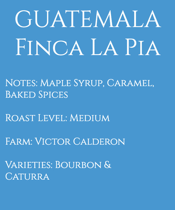 Guatemala Palencia Finca La Pia El Ocaso Washed