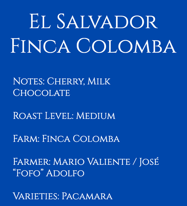 El Salvador Finca Colomba Pacamara Natural