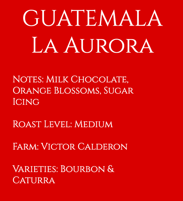 Guatemala Palencia Finca La Pia La Aurora Washed