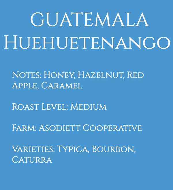 Guatemala Huehuetenango Cooperative Asodiett Txol Xaq Washed