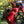 Load image into Gallery viewer, Guatemala Huehuetenango HER Coffee
